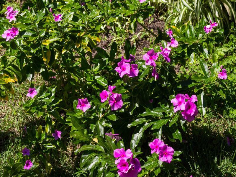 Pousada Buzios Garden エクステリア 写真